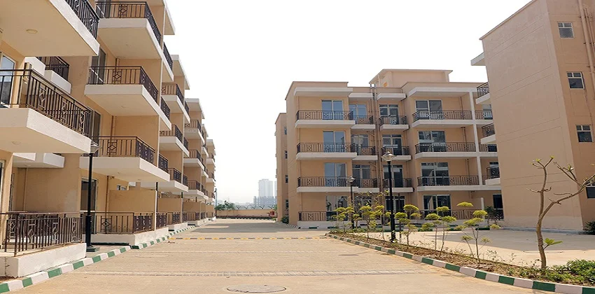 DELUXE DXP Commercial